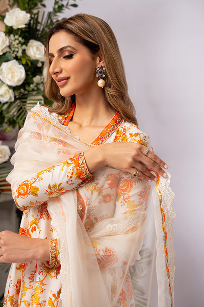 Amna Arshad | Zolu Collection 24 | Somaya