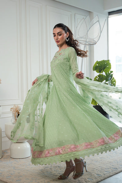 Amna Arshad | Laleh Festive | Ziva