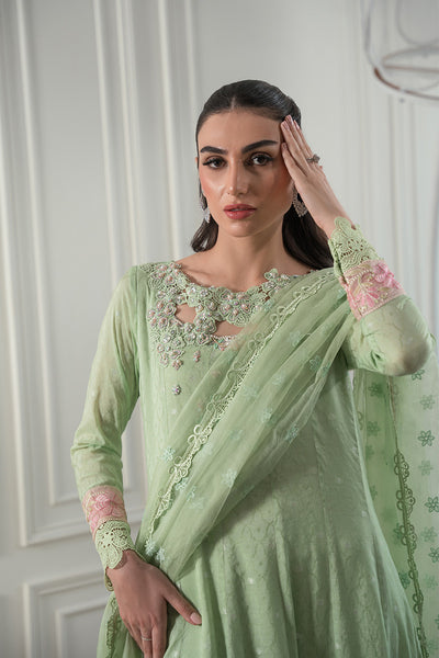 Amna Arshad | Laleh Festive | Ziva