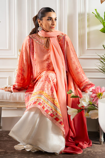 Amna Arshad | Zolu Collection 24 | Shenaya