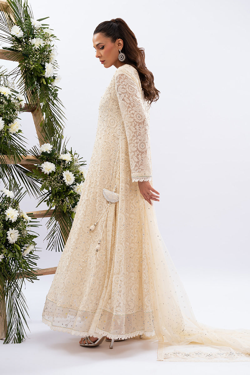 Amna Arshad | Zolu Collection 24| Amaira