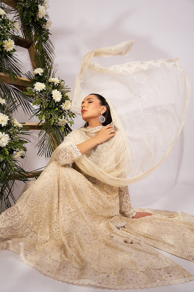 Amna Arshad | Zolu Collection 24| Amaira