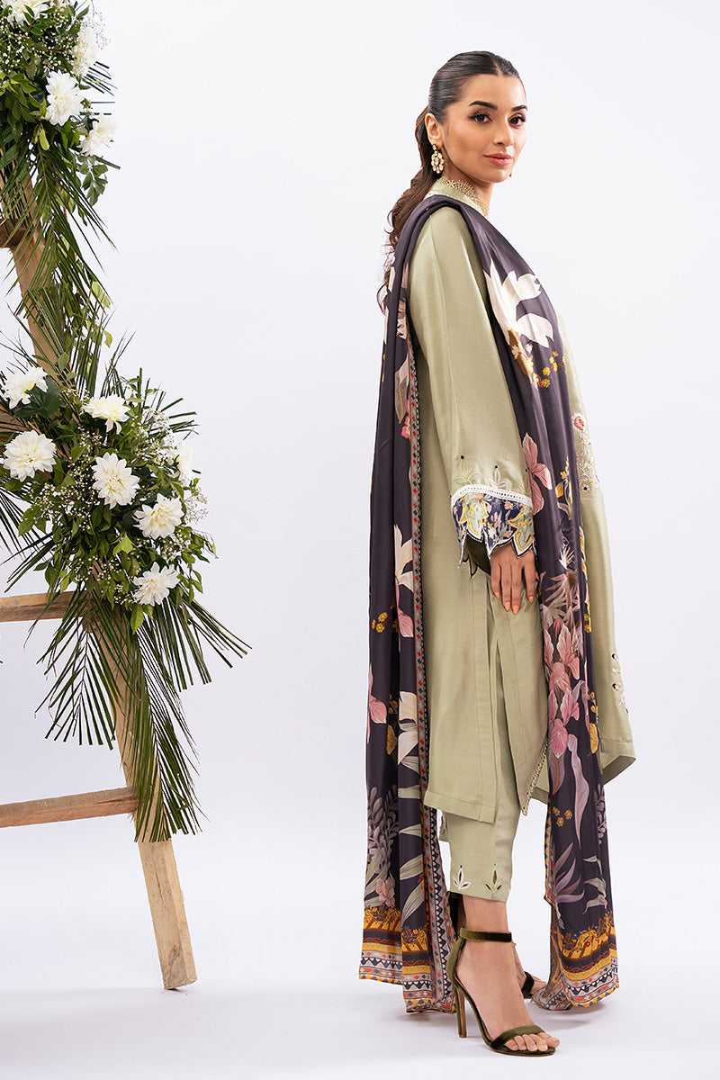 Amna Arshad | Zolu Collection 24| Dilara