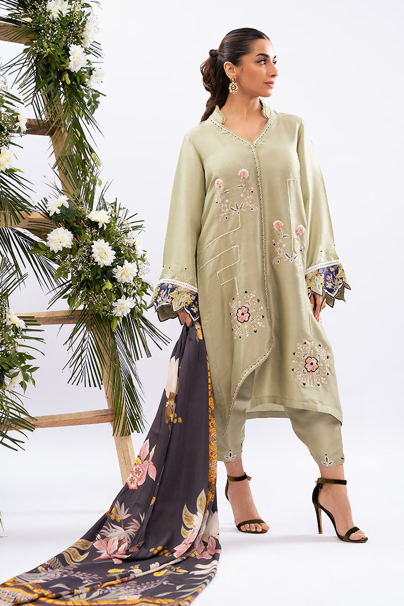 Amna Arshad | Zolu Collection 24| Dilara