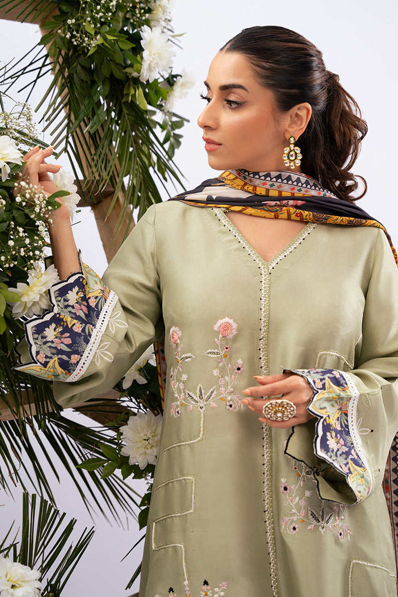 Amna Arshad | Zolu Collection 24| Dilara