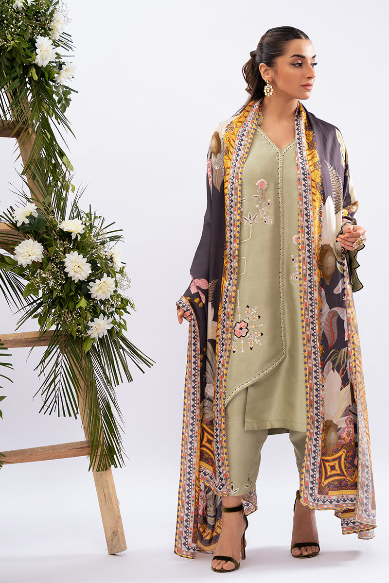 Amna Arshad | Zolu Collection 24| Dilara