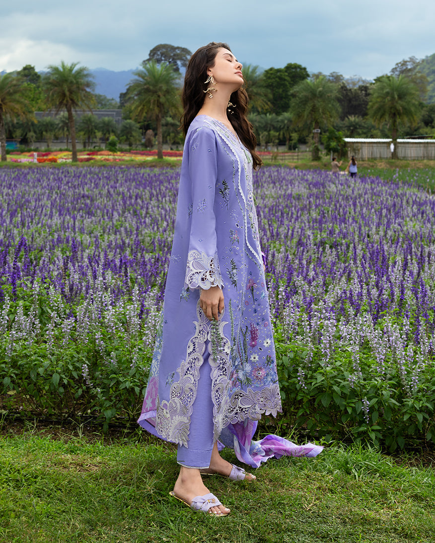 Mushq | The Secret Garden Lawn | Daisy Reverie
