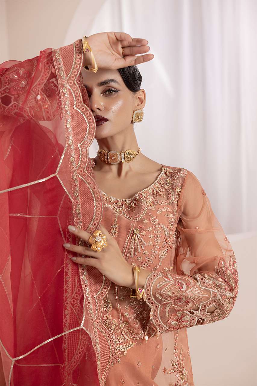 Diara Couture | Aaraish Formals | NOSHEEN - US-645
