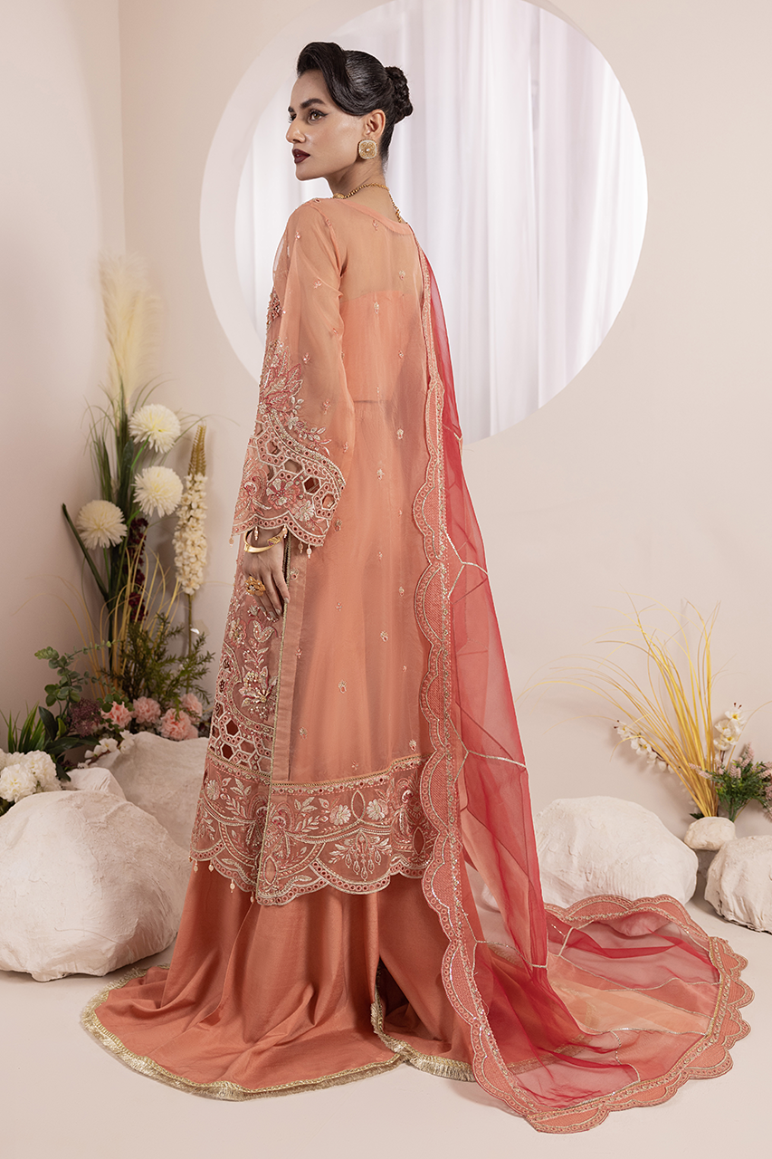 Diara Couture | Aaraish Formals | NOSHEEN - US-645