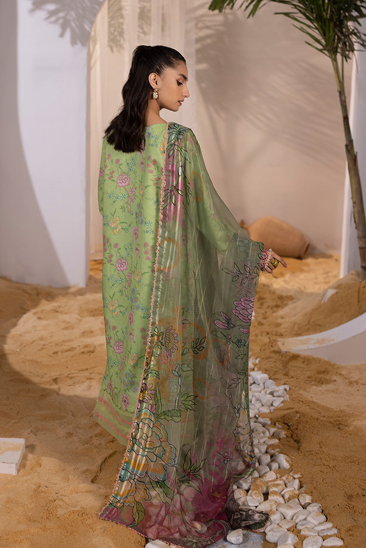 Ellena | Luxury Embroidered Collection| P-03