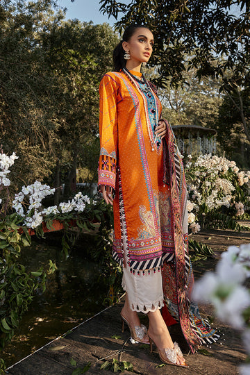 Ellena | Luxury Embroidered Collection | D13