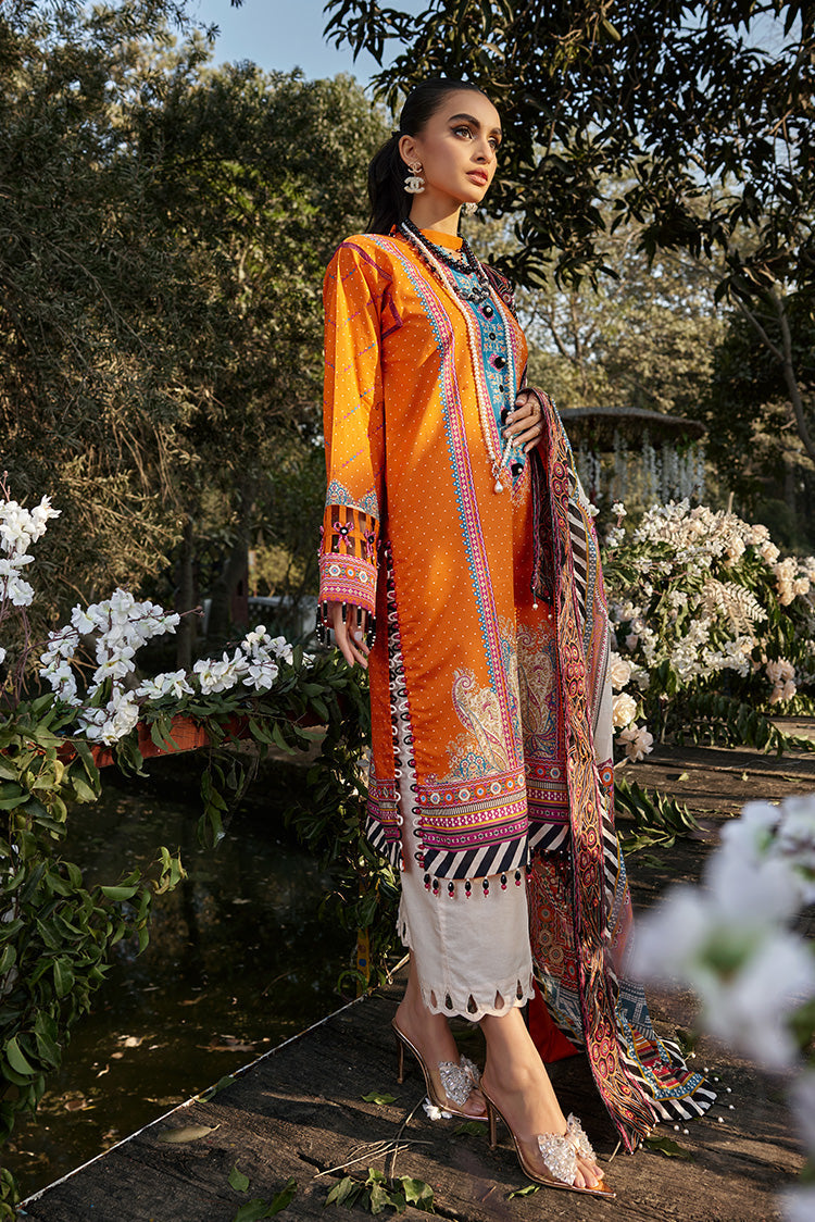 Ellena | Luxury Embroidered Collection | D13