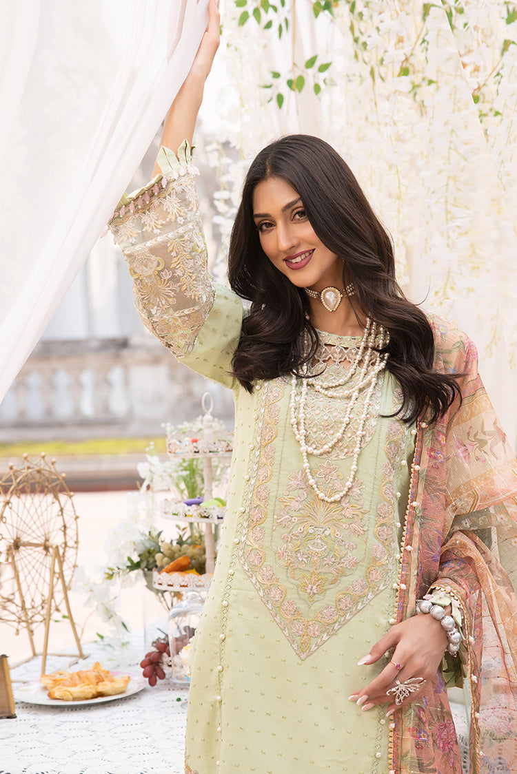 Ellena | Luxury Embroidered Collection | D21
