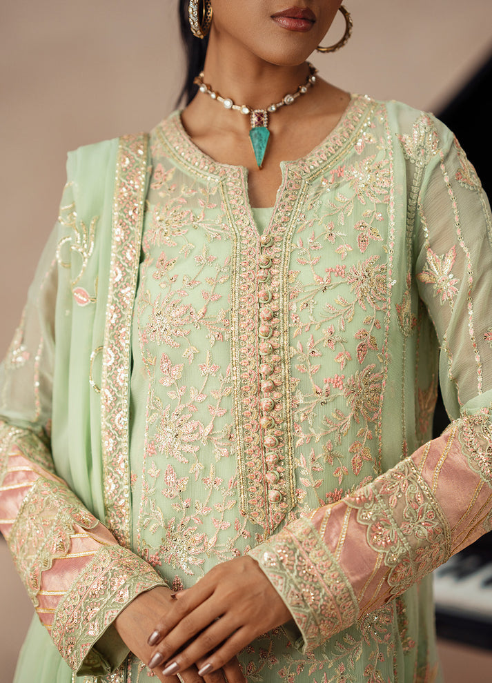 Fressia Premium | Premium Chiffon | FSU5614