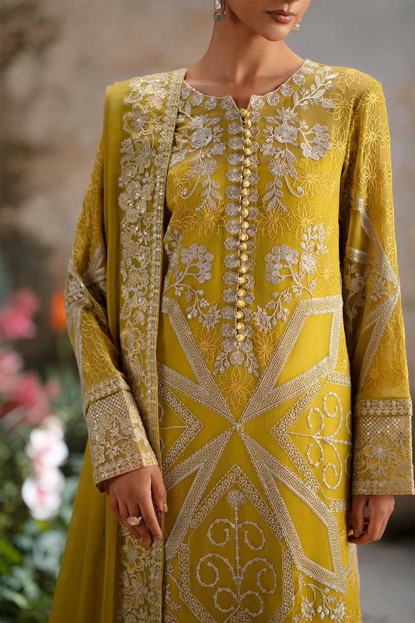 Freesia Premium | Luxury Chiffon |OLICHUDAR