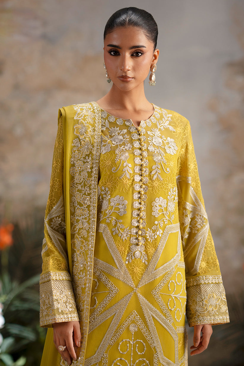 Freesia Premium | Luxury Chiffon |OLICHUDAR
