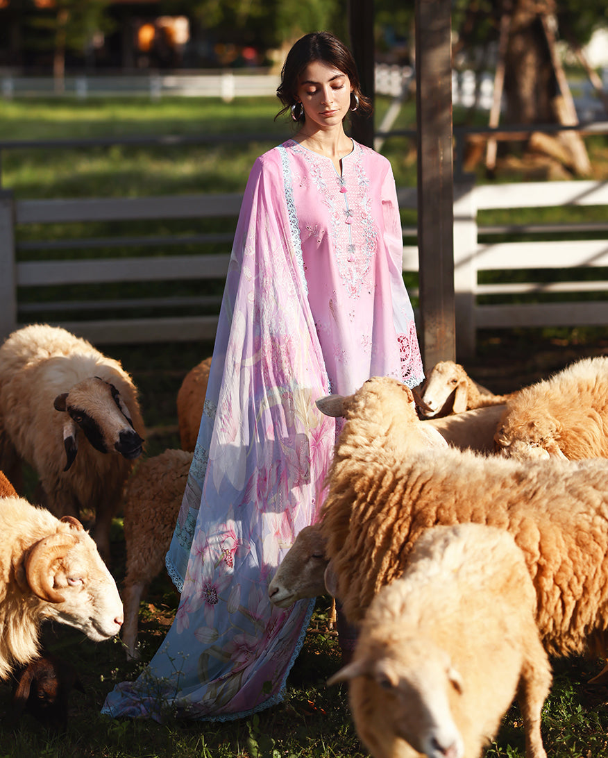 Mushq | Solace Ombre Chikankari | Faint Blossom