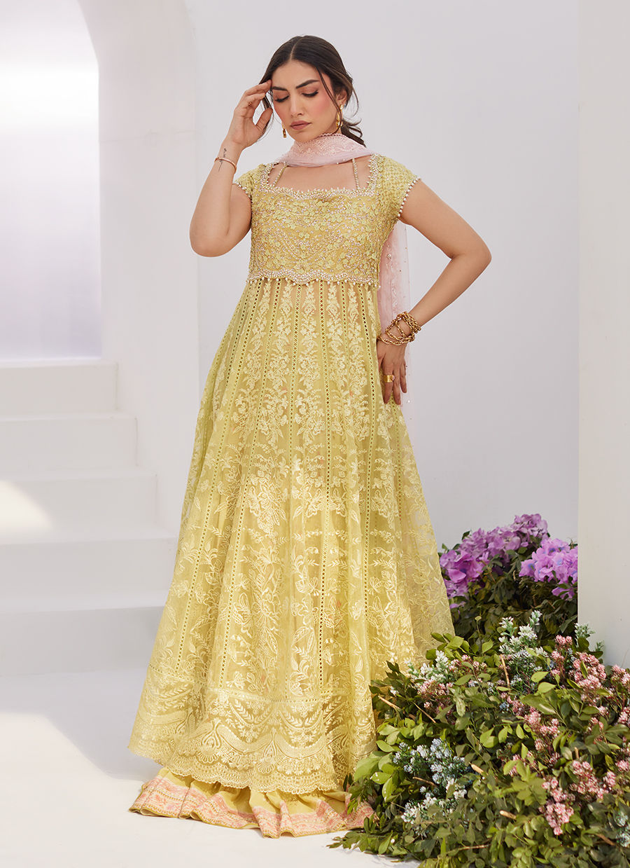 Farah Talib Aziz | Zaza Luxe Pret 24 | REINE KIWI EMBROIDERED EMBELLISHED KALIDAAR