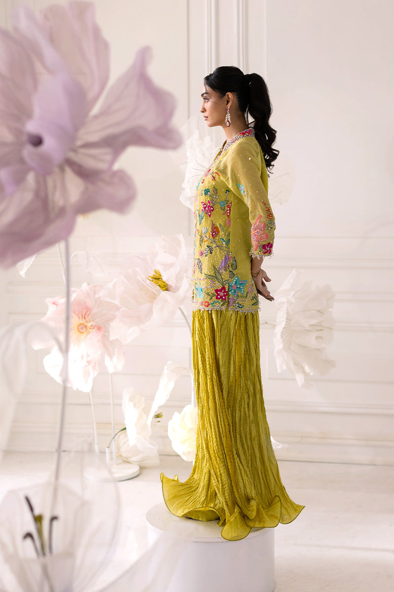 Mina Hassan | Festive Dholki 25 | Fari