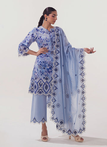 Image | Spring Basics 25 | IMPRSS-213952-12546