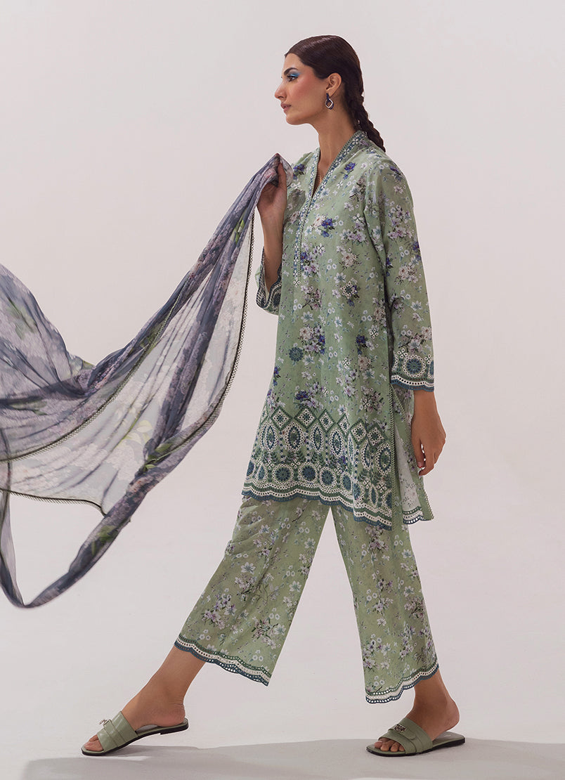 Image | Spring Basics 25 | IMPRSS-213973-12552