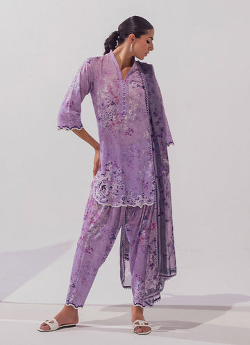 Image | Spring Basics 25 | IMPRSS-214017-12487