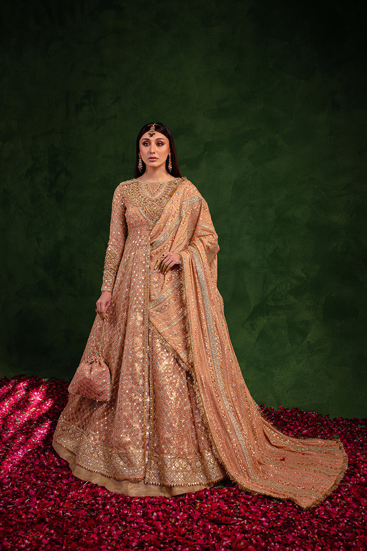 Maria Osama Khan | Salma Sitara | VASL