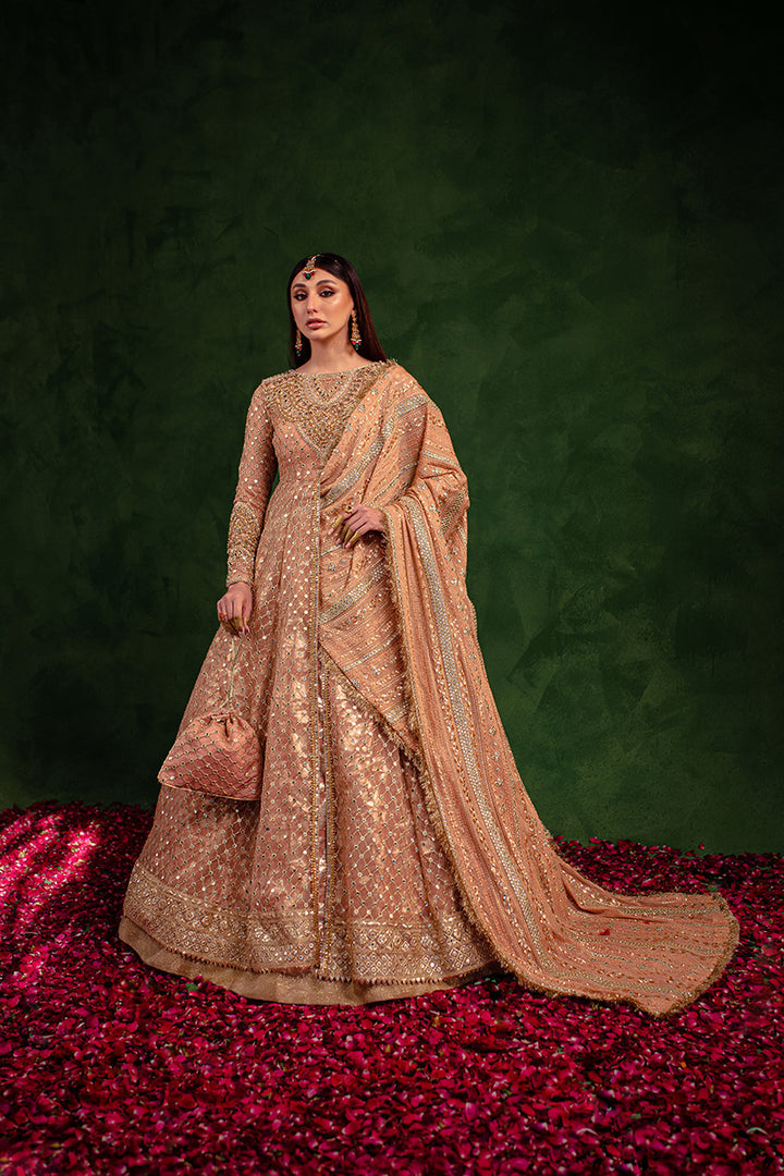 Maria Osama Khan | Salma Sitara | VASL