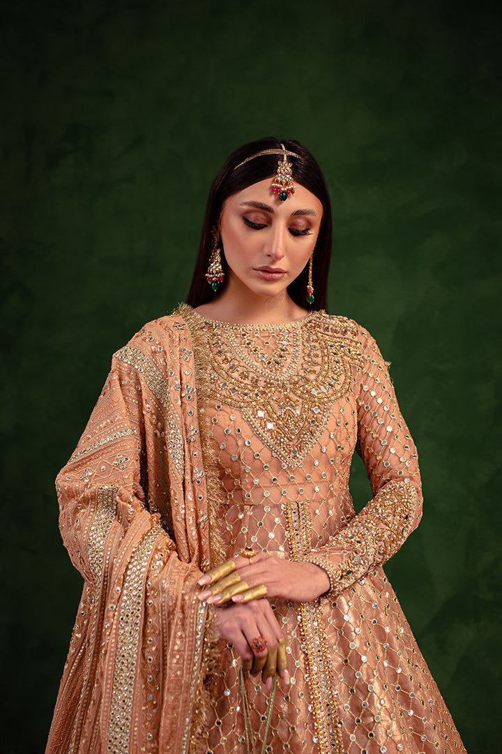 Maria Osama Khan | Salma Sitara | VASL