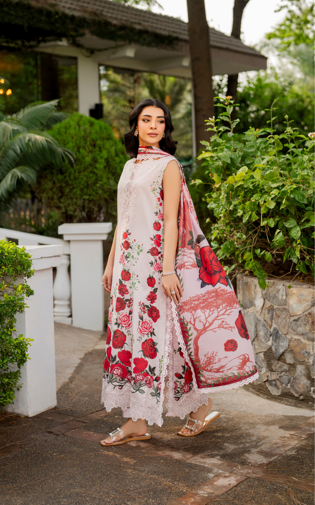 Asifa and Nabeel | Meraki SUmmer 26 | Gilded Rose MSSL-05