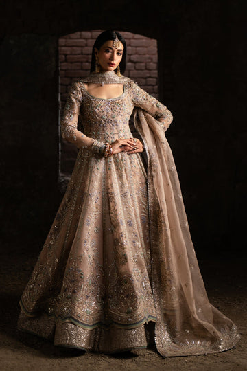 Nyra | Wedding Festive | Mehmal
