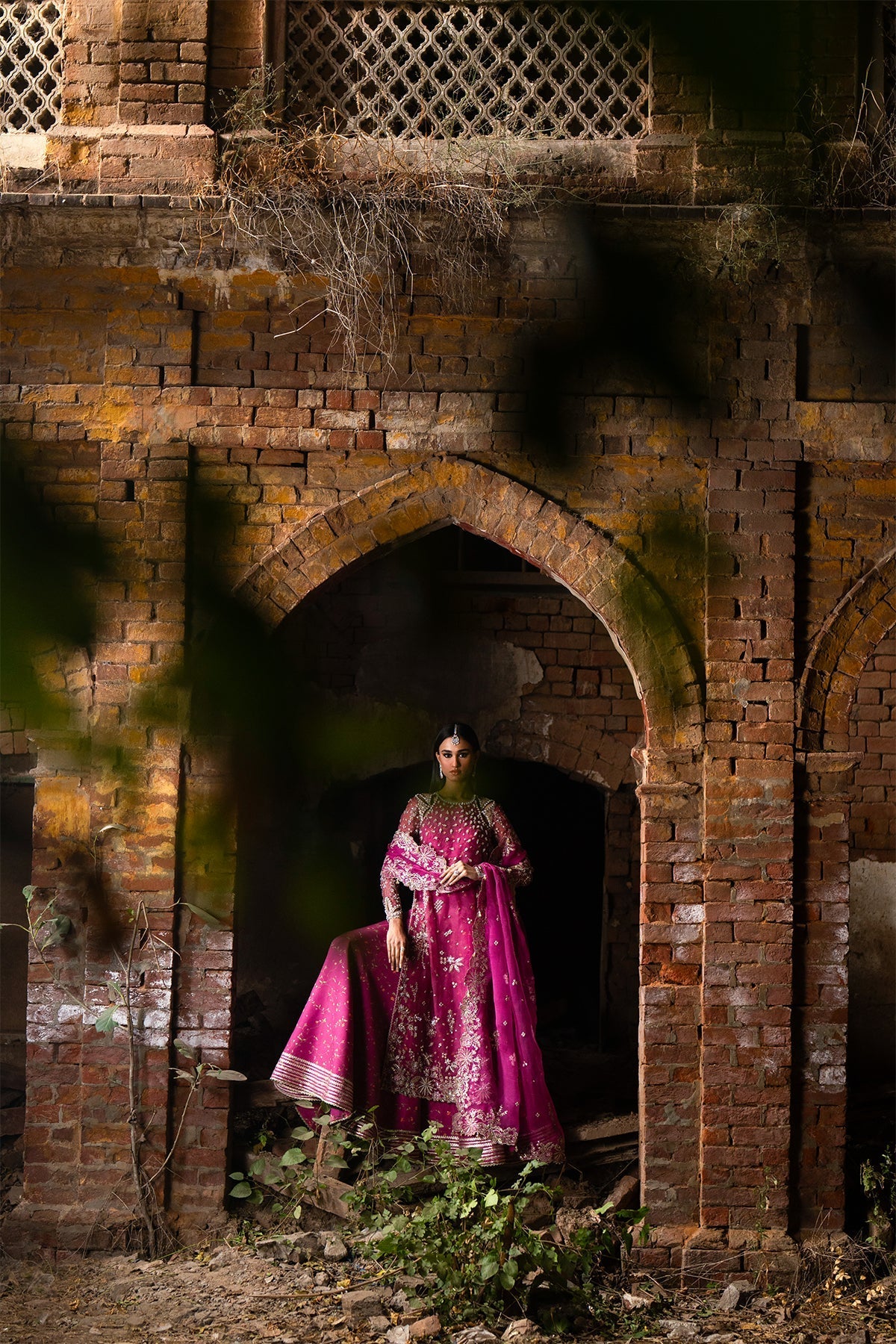 Nyra | Wedding Festive | Mushq