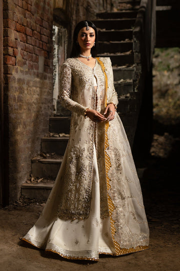 Nyra | Wedding Festive | Soz