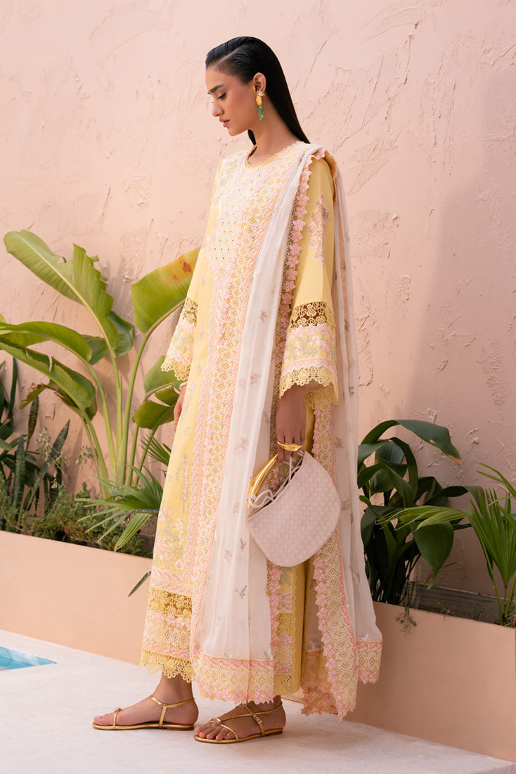 Marjjan | Orya Collection | MWK-74 A