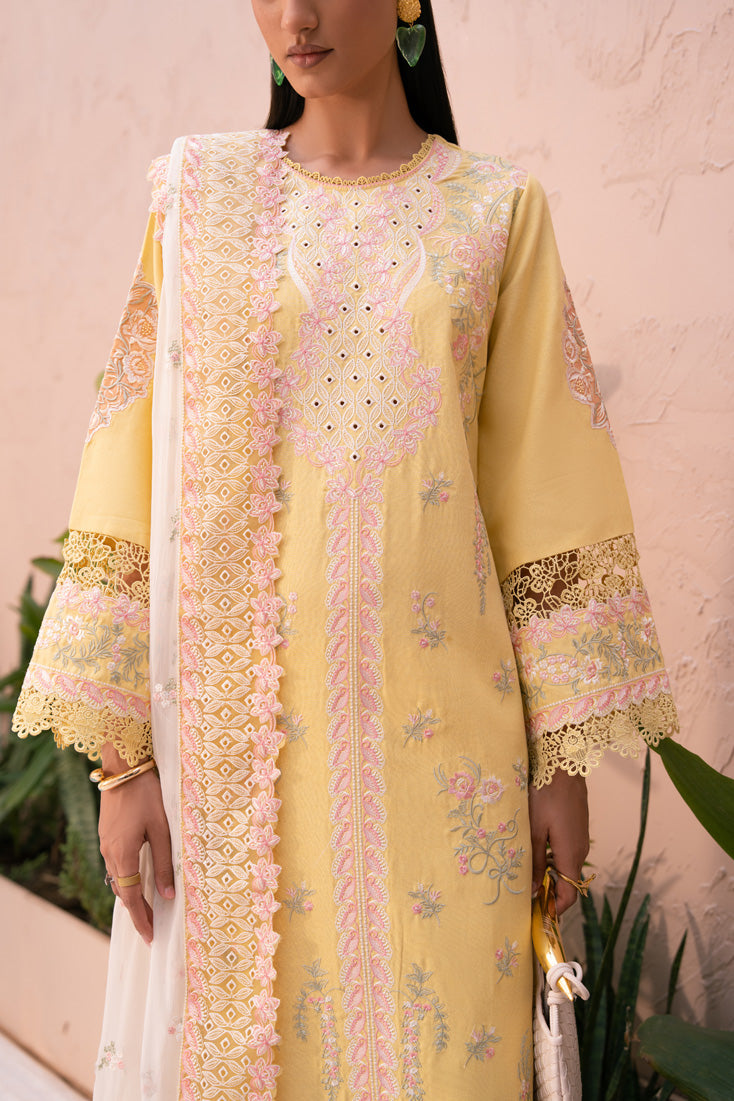 Marjjan | Orya Collection | MWK-74 A