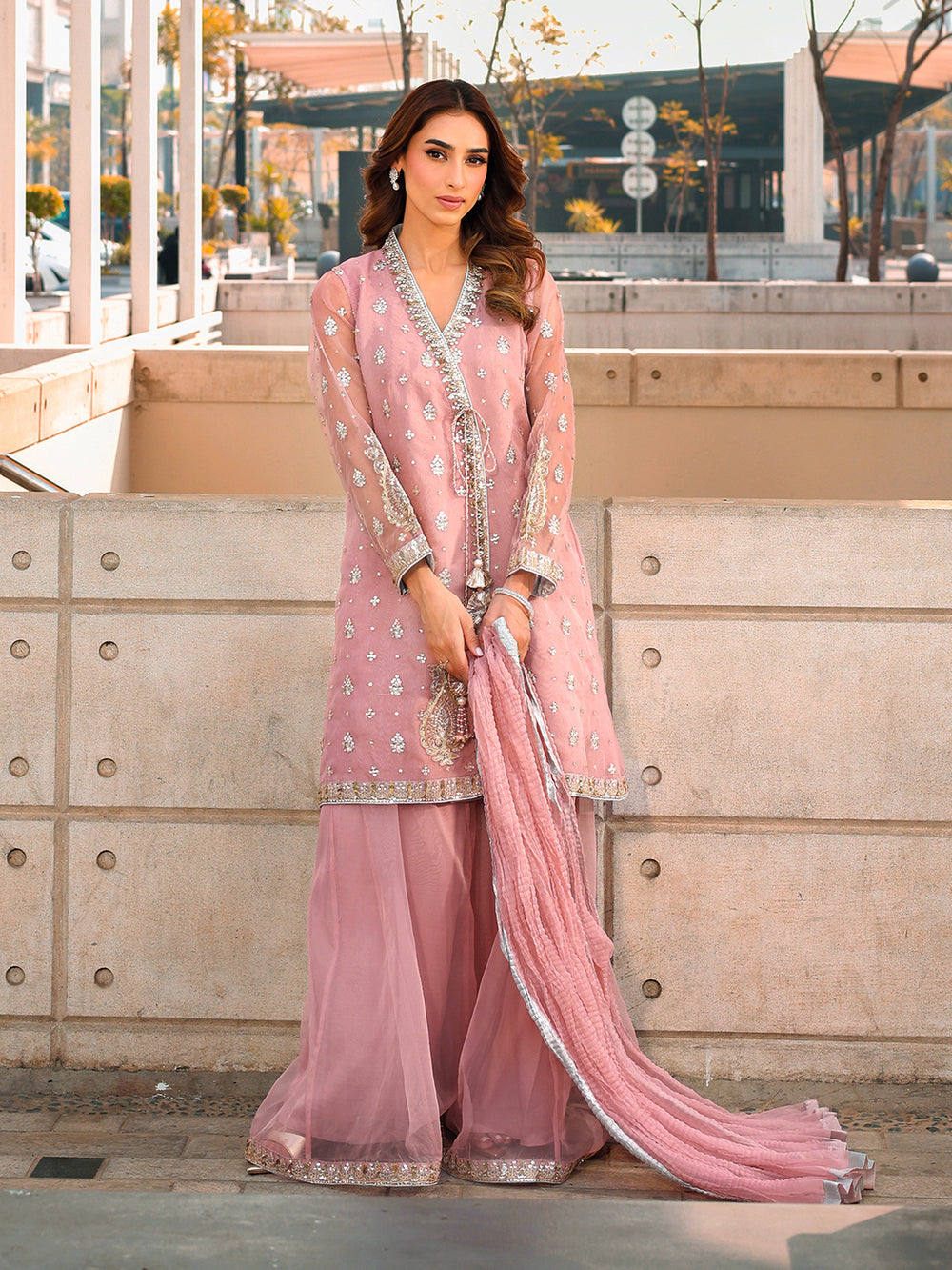 Ain | Raya Luxury Formals | AN-175 OPAL