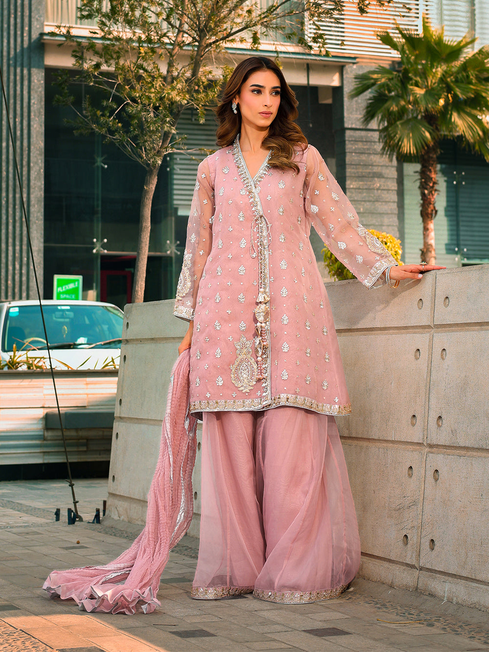 Ain | Raya Luxury Formals | AN-175 OPAL