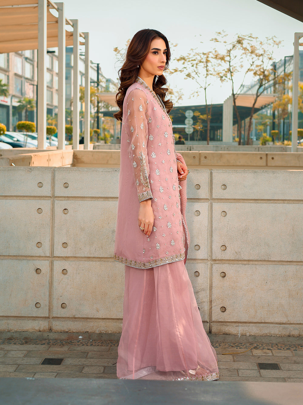 Ain | Raya Luxury Formals | AN-175 OPAL