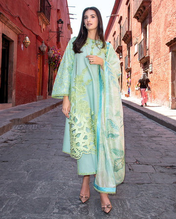 Mushq | Odyssey Lawn 26 | Paloma