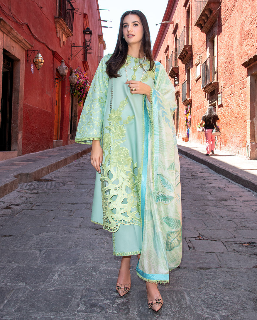 Mushq | Odyssey Lawn 26 | Paloma