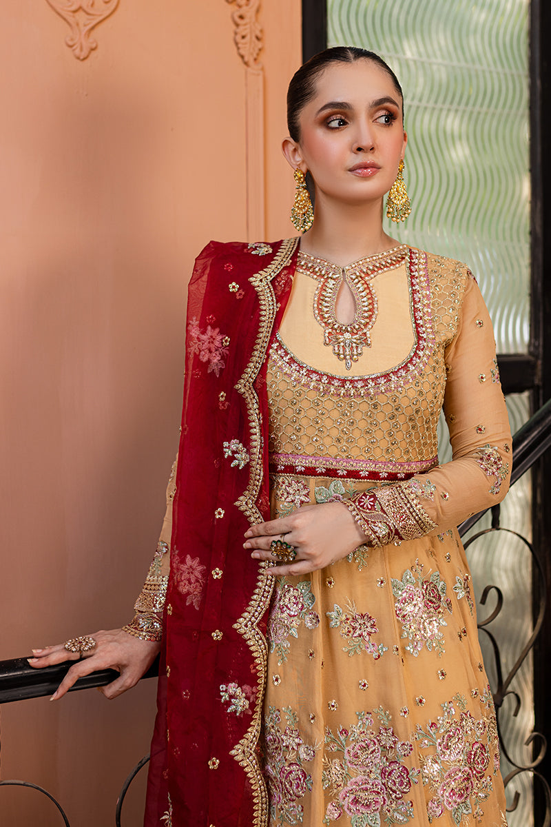 Roheenaz | Naira Chiffon 24 | Aylin