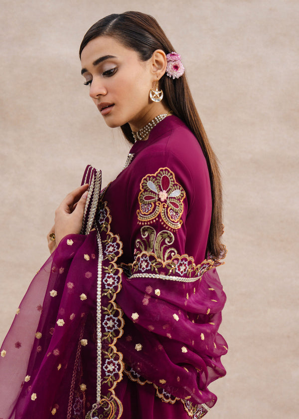 Laj by Lajwanti | Eid Luxury Pret 26 | Aylinara
