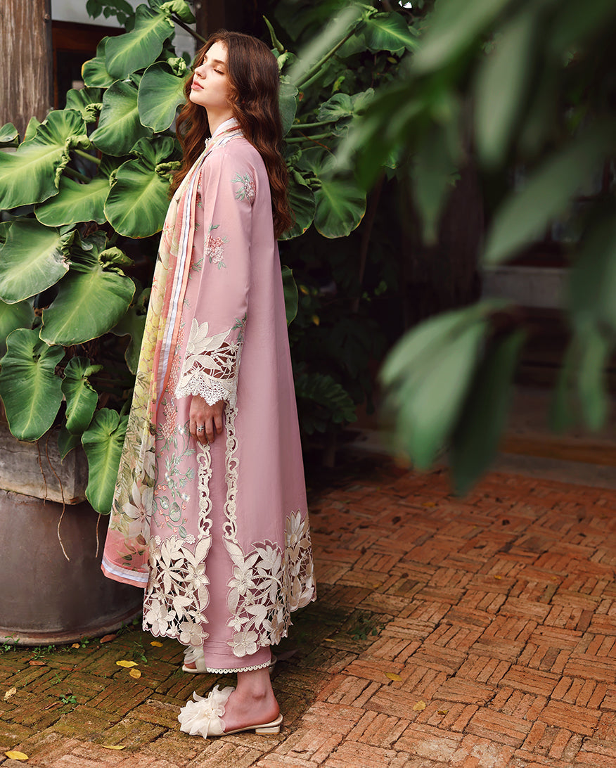 Mushq | The Secret Garden Lawn | Secret Petals
