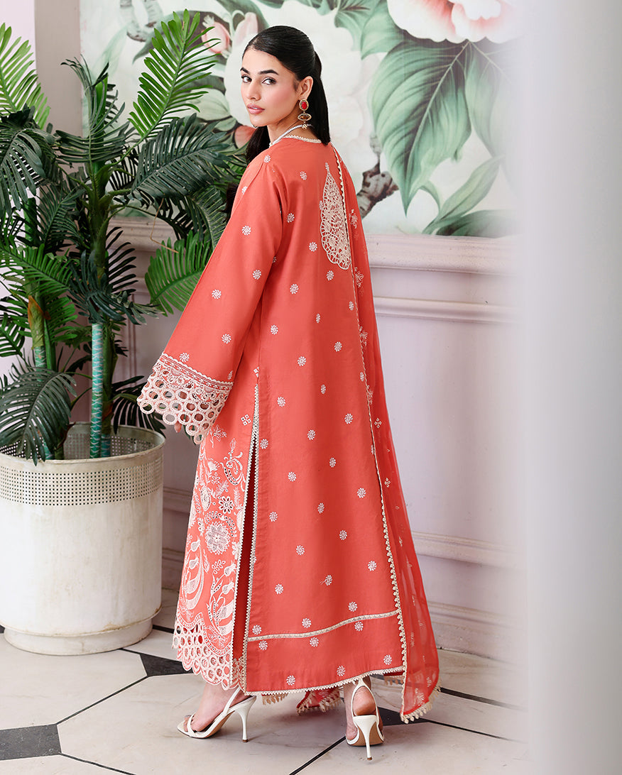 Roheenaz | Veil of Summer Chikankari | Soleil Blanc