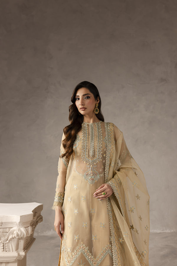 Imran Ramzan | Eblour Wedding Formals | Soleil Étincelant
