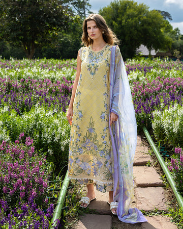 Mushq | The Secret Garden Lawn | Sunlit Meadow
