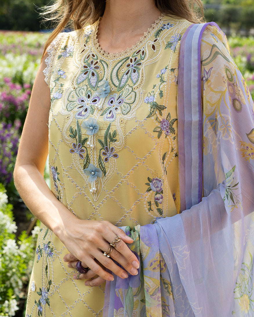 Mushq | The Secret Garden Lawn | Sunlit Meadow