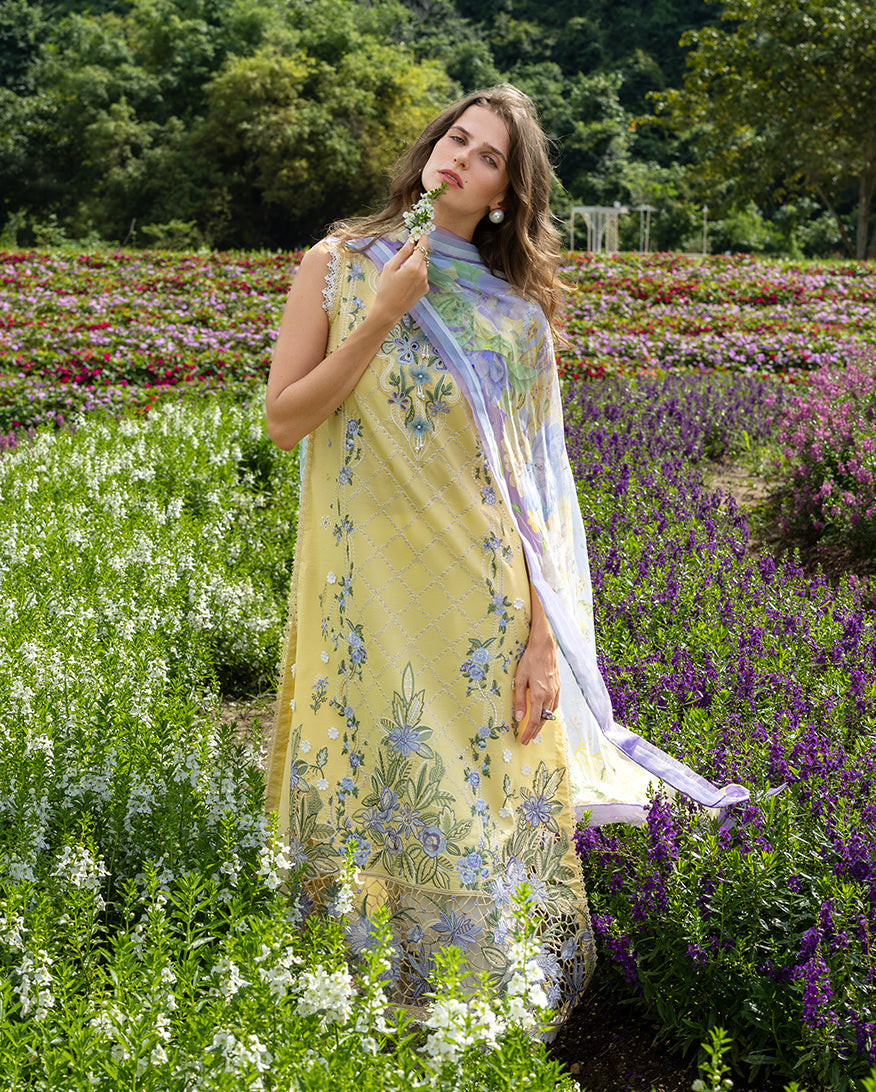 Mushq | The Secret Garden Lawn | Sunlit Meadow