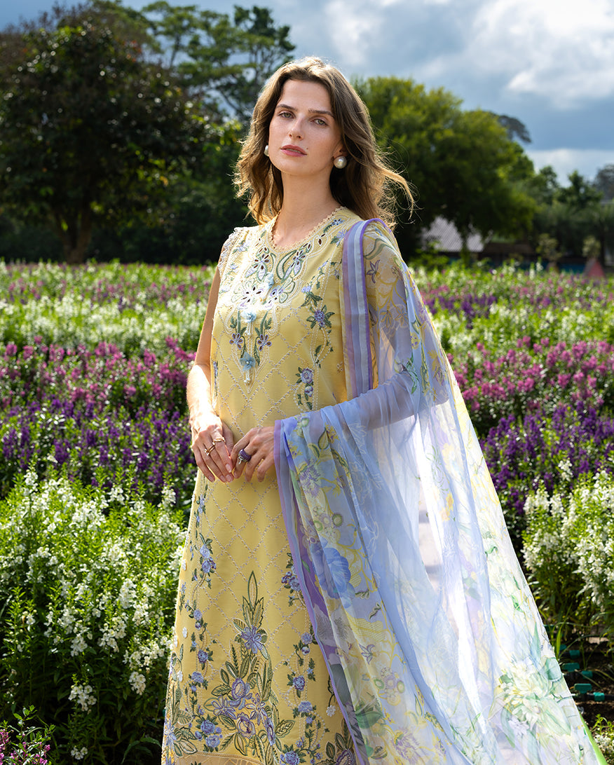 Mushq | The Secret Garden Lawn | Sunlit Meadow