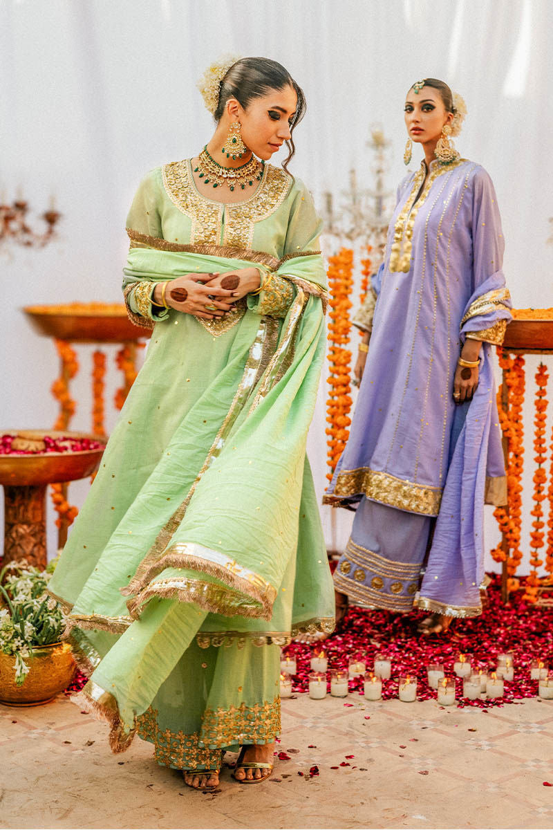 The Pink Tree Company | Gota Tikli | AARSI